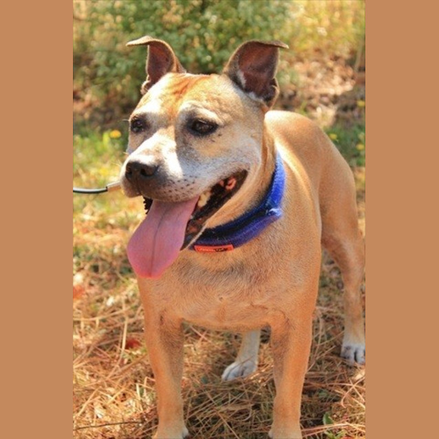 Photo of Lucy