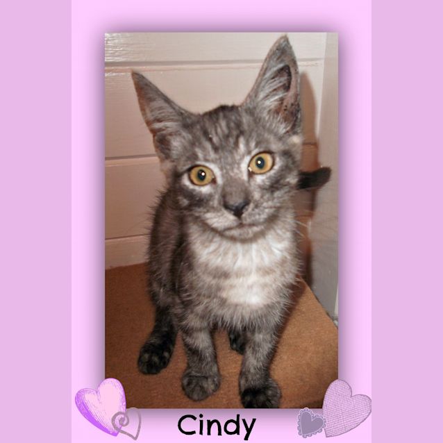 Photo of Cindy