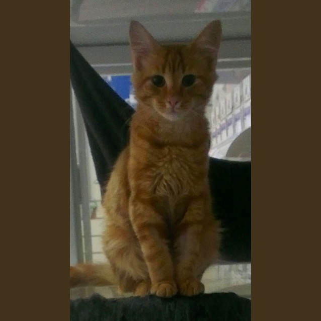 Photo of Gerry