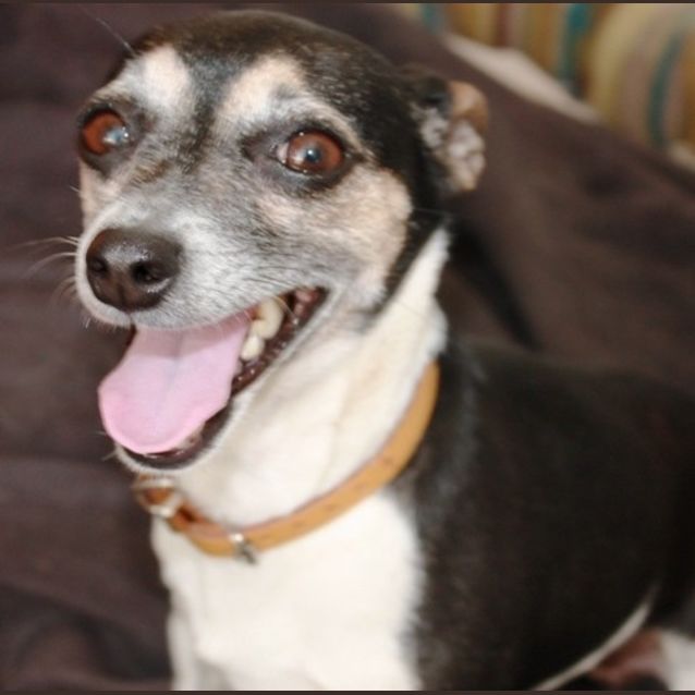 Photo of Bella