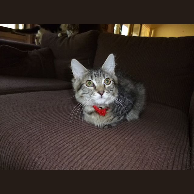 Photo of Hugo