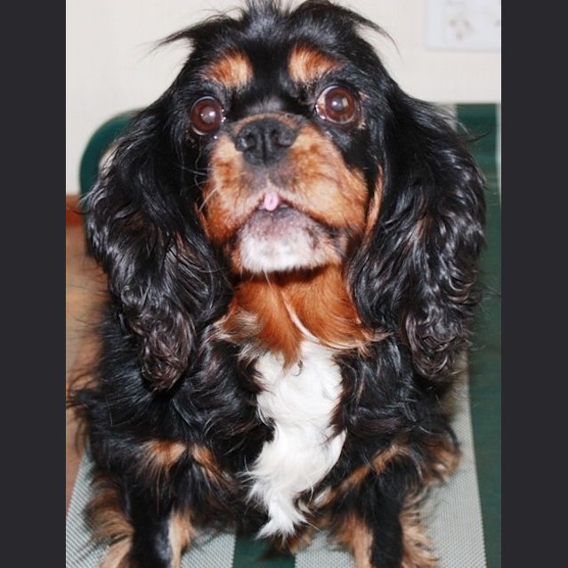 Photo of Betty