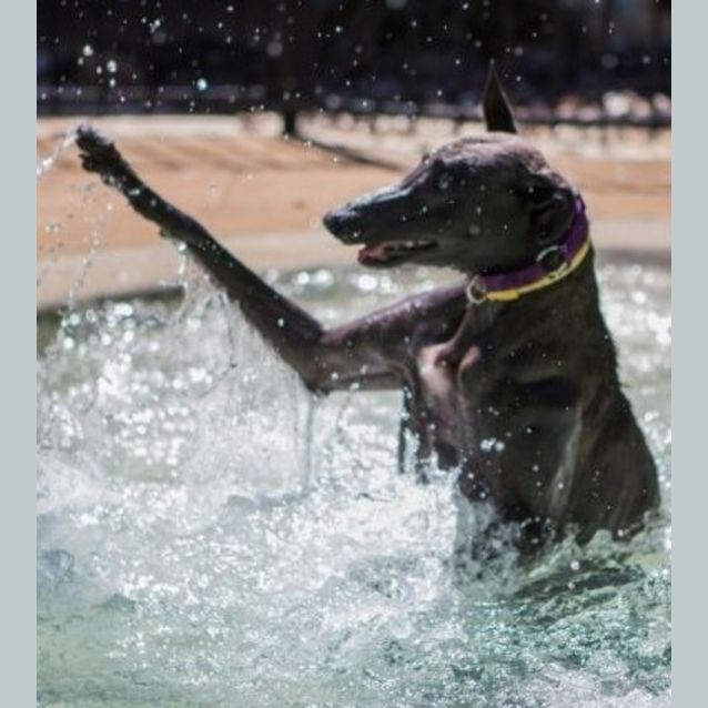 Photo of Ariel
