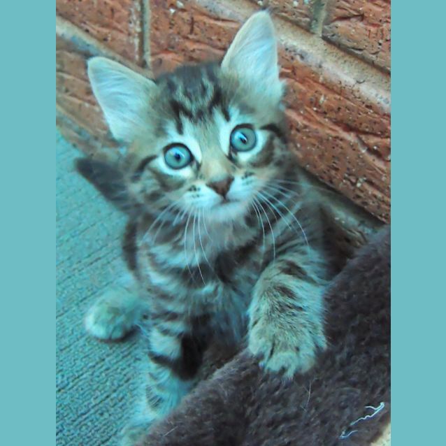 Photo of Jemima