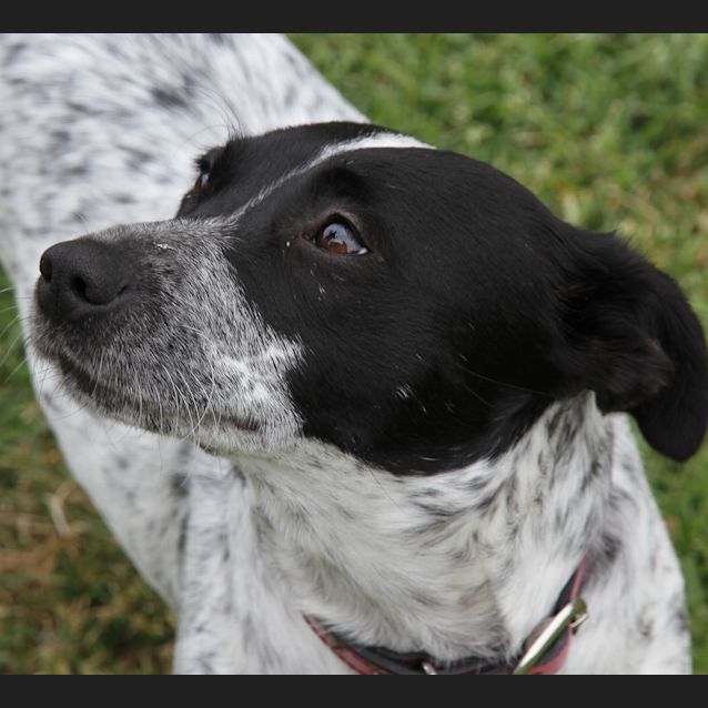 Photo of Samantha