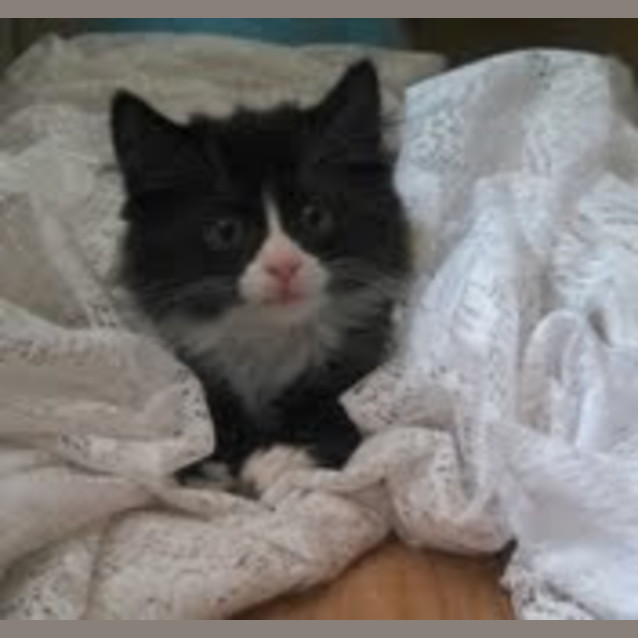 Photo of Cash