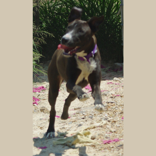 Photo of Jessie