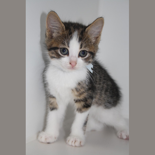 Photo of Olivia