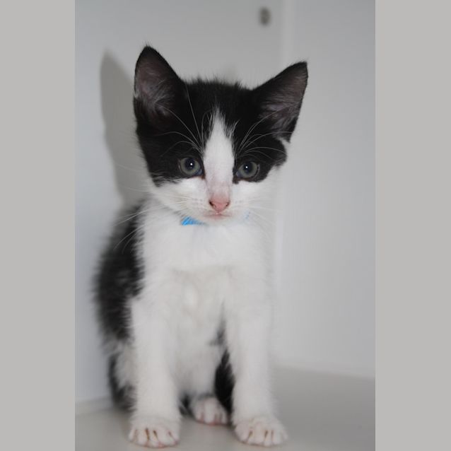 Photo of Lenny