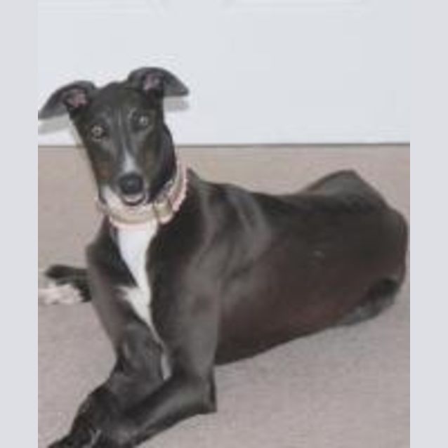 Photo of Lulu