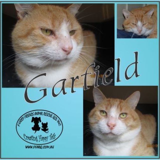 Photo of Garfield