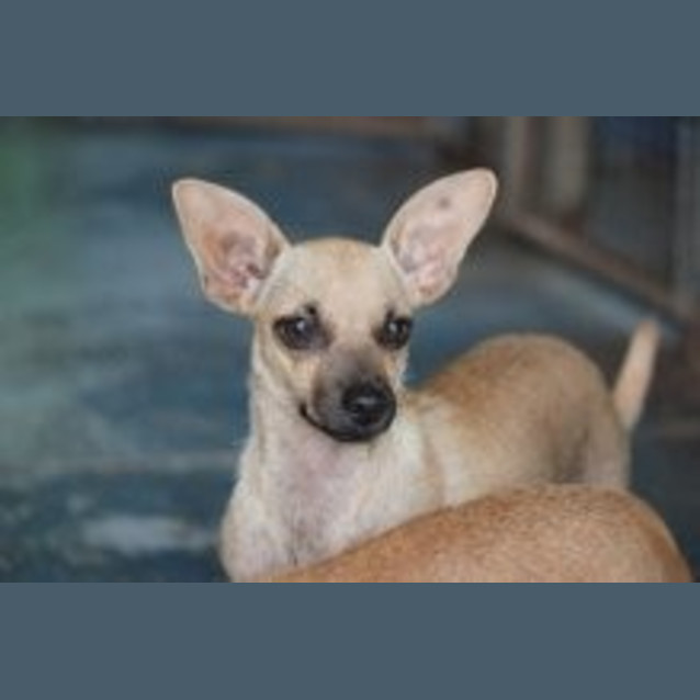 Photo of Thelma