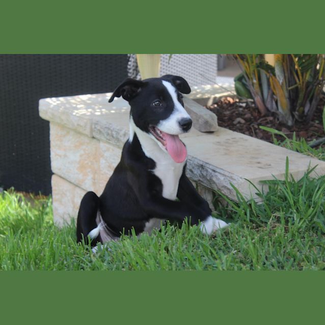Photo of Luca