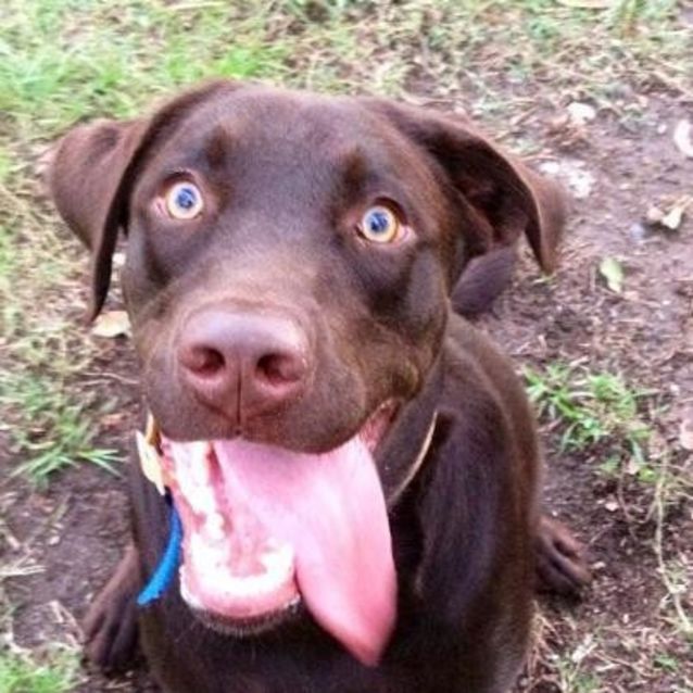 Photo of Murph
