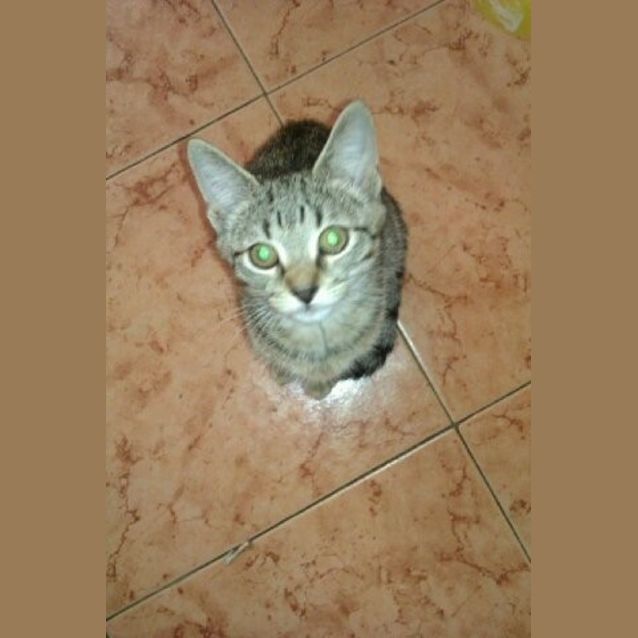 Photo of Wilbur