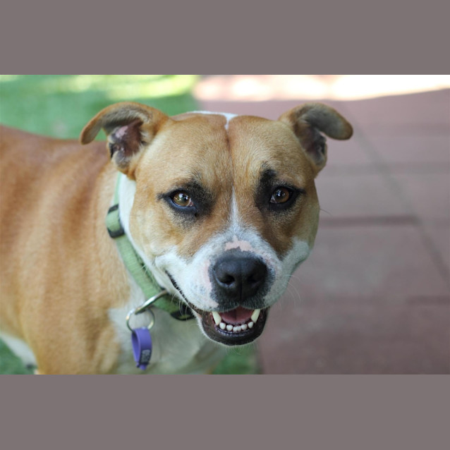 Photo of Lexi