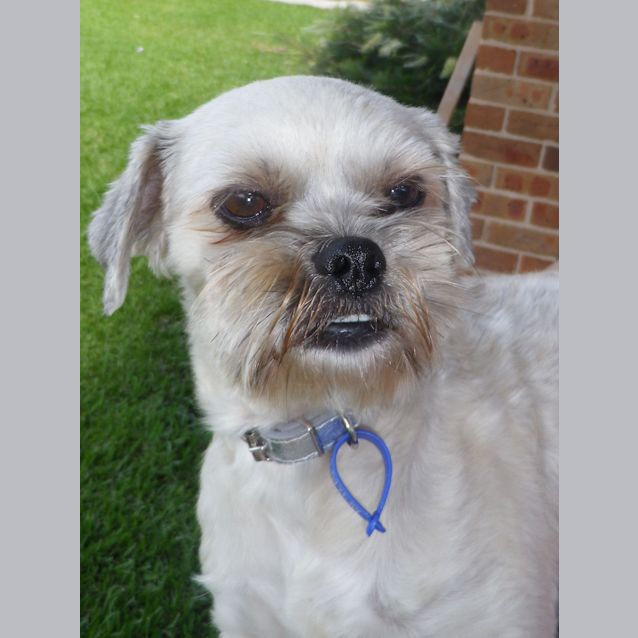 Photo of Wally (On Trial 3/3/13)
