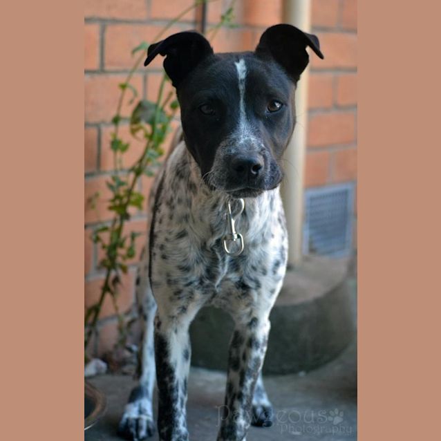 Photo of Scarlette