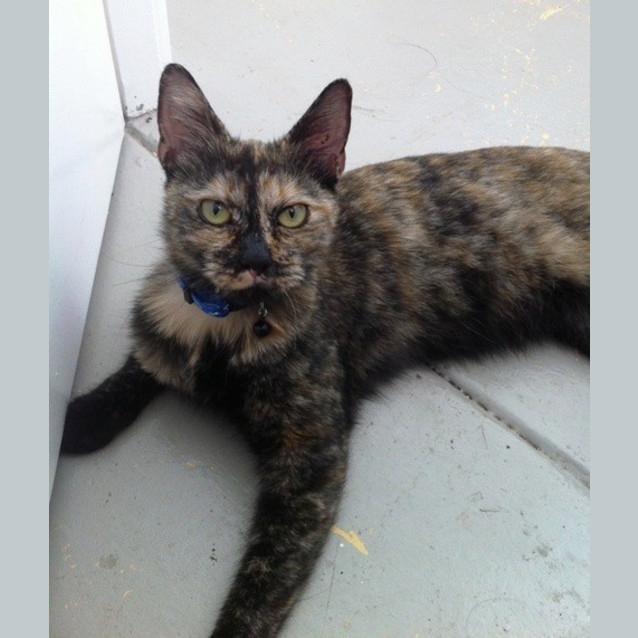 Photo of Lucy