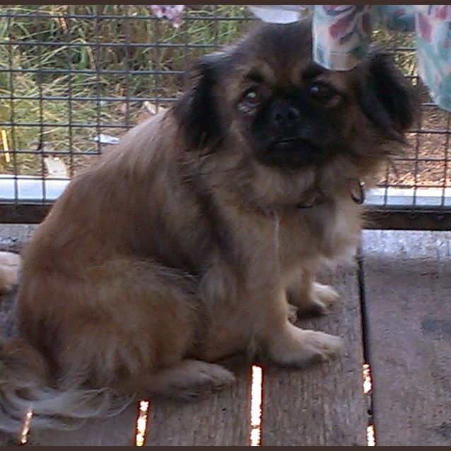 Photo of Tara