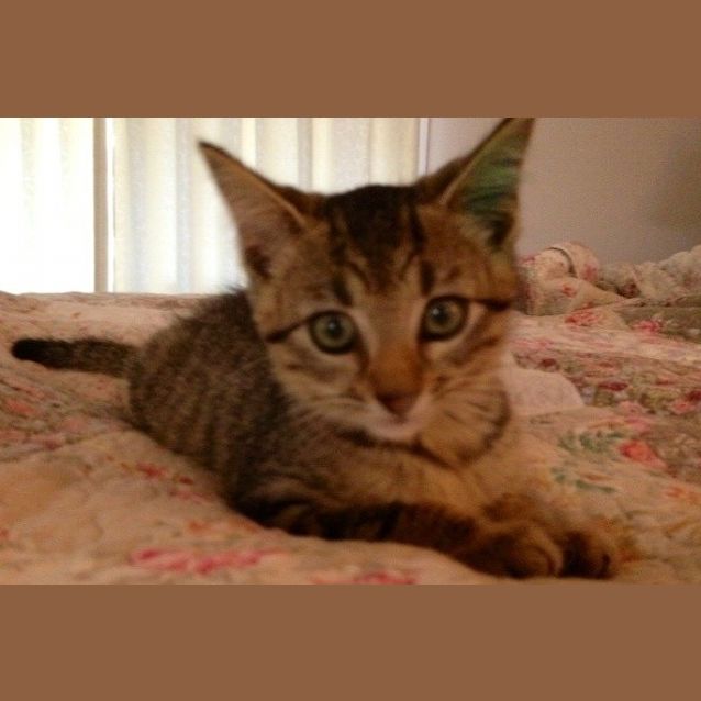 Photo of Tristan