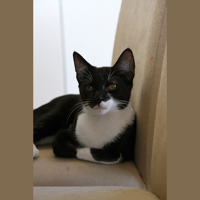 Photo of Tinkataka