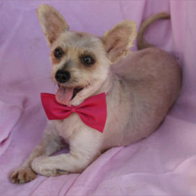 Photo of Isabella