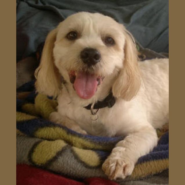 Photo of Oliver