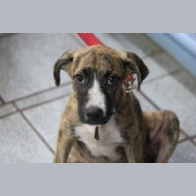 Photo of Annabell