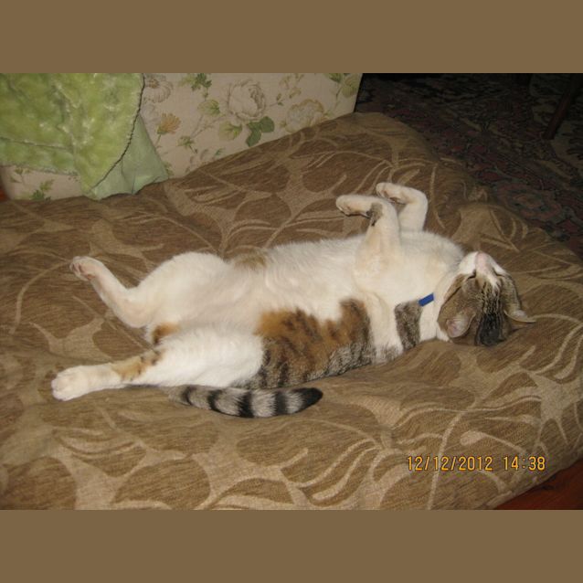 Photo of Zoe  