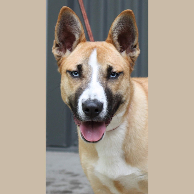 Photo of Beryl