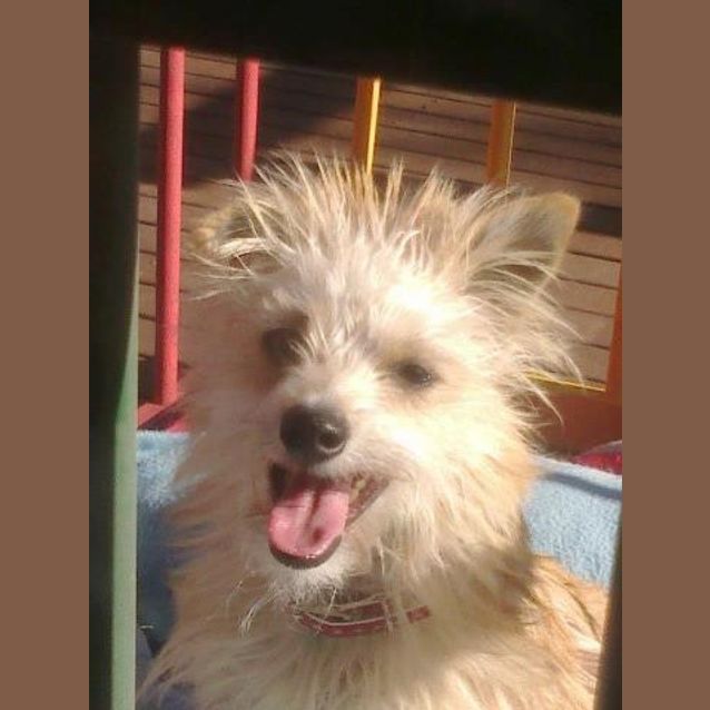 Photo of Alvin
