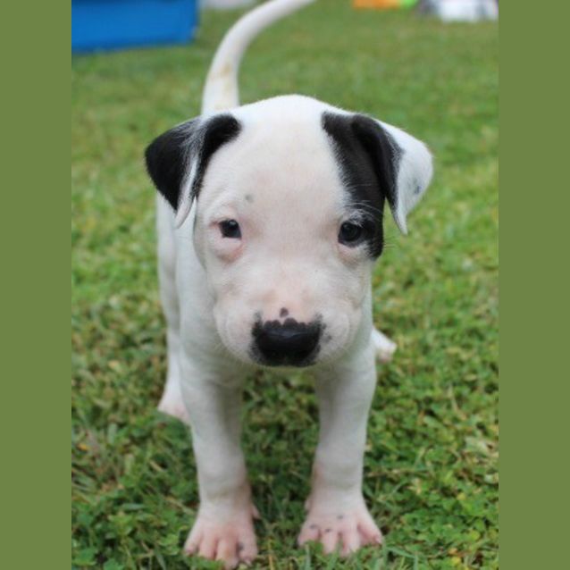 Photo of Zeus