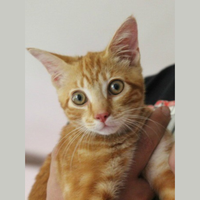 Photo of Jasper