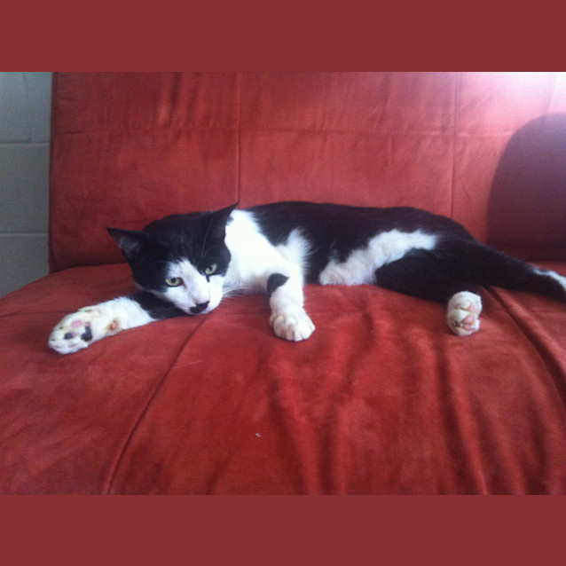 Photo of Buster