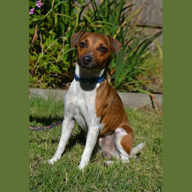 Photo of Buster