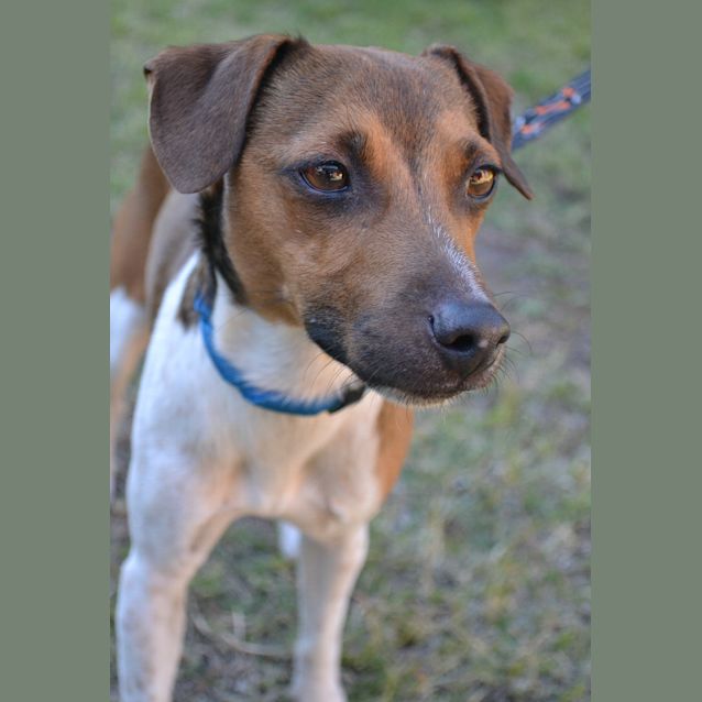 Photo of Buster