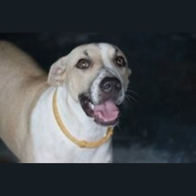 Photo of Crystal