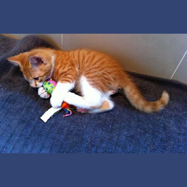 Photo of Hudson