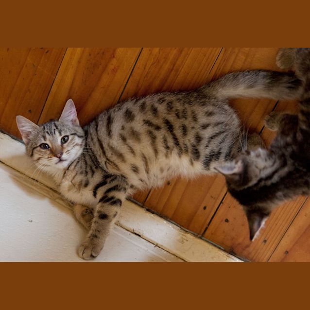 Photo of Binti