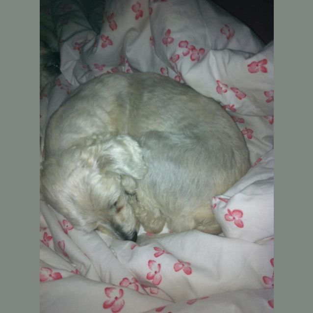 Photo of Ralphy
