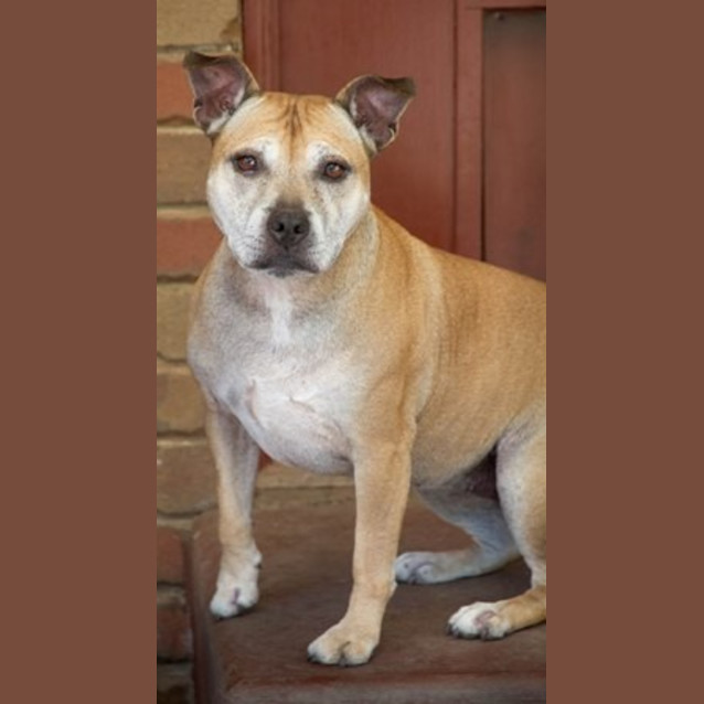 Photo of Lucy