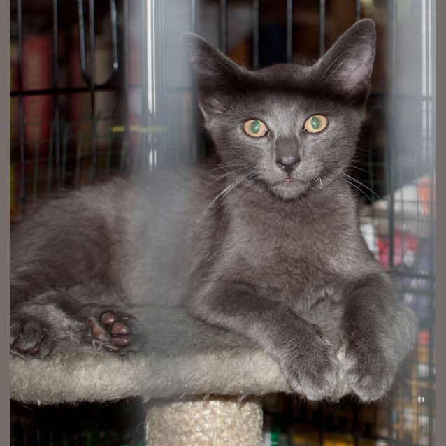 Photo of Kenji