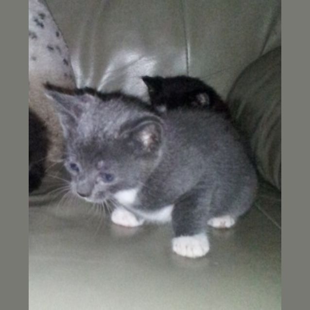 Photo of Gary