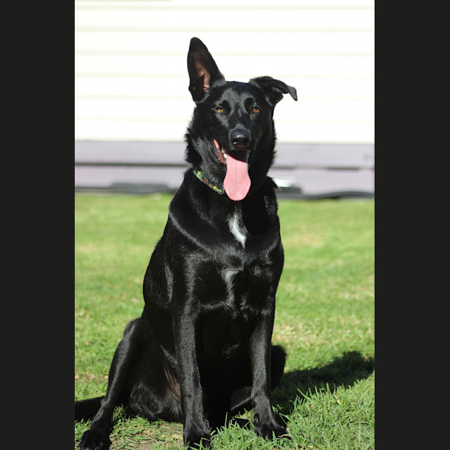Photo of Jett