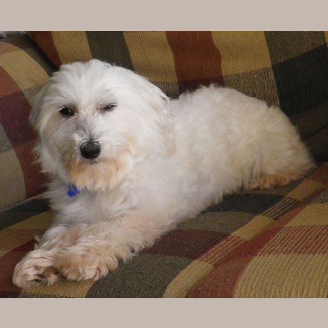 Photo of Noodles (On Trial 20/3/13)