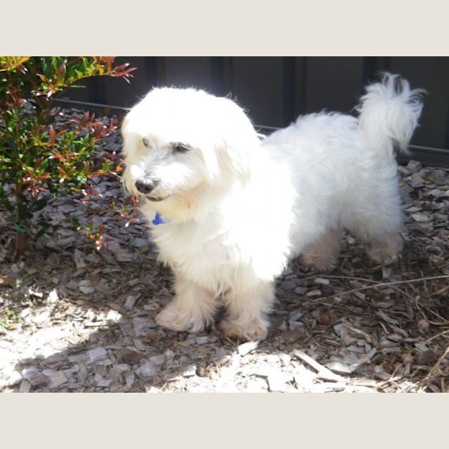 Photo of Noodles (On Trial 20/3/13)