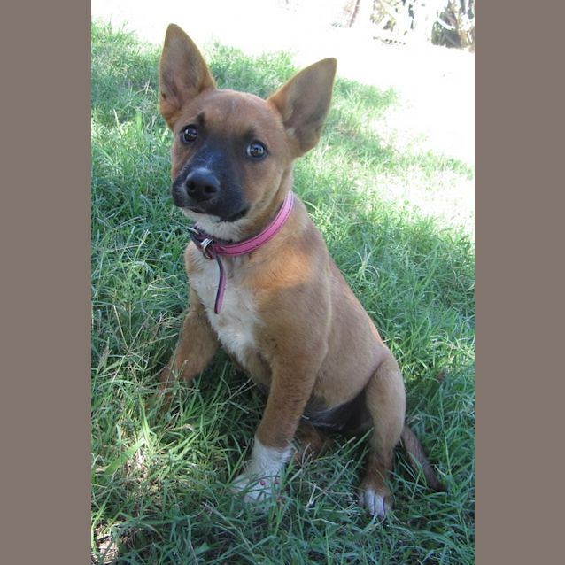 Photo of Mahla