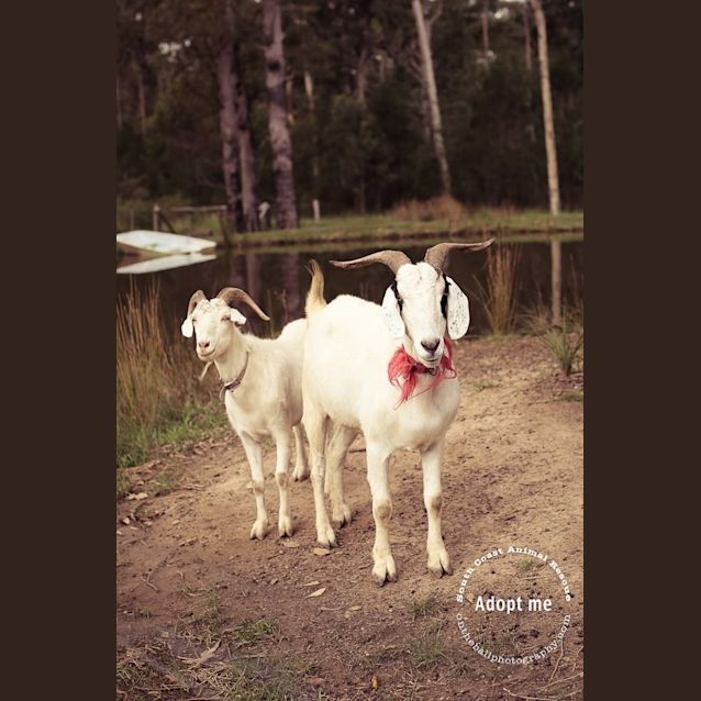 Photo of Simon And Mike