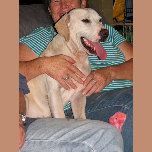 Photo of Mudd